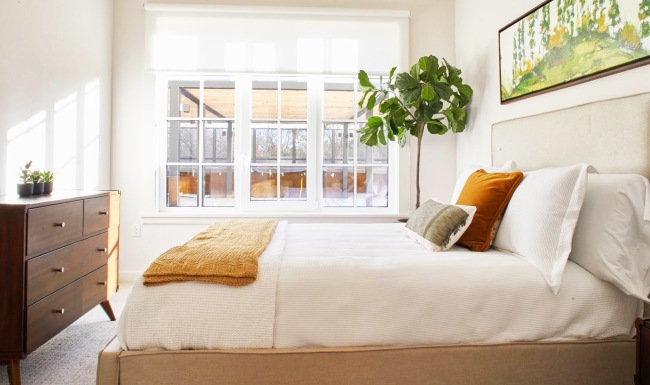Bedroom with natural lighting and high ceilings
